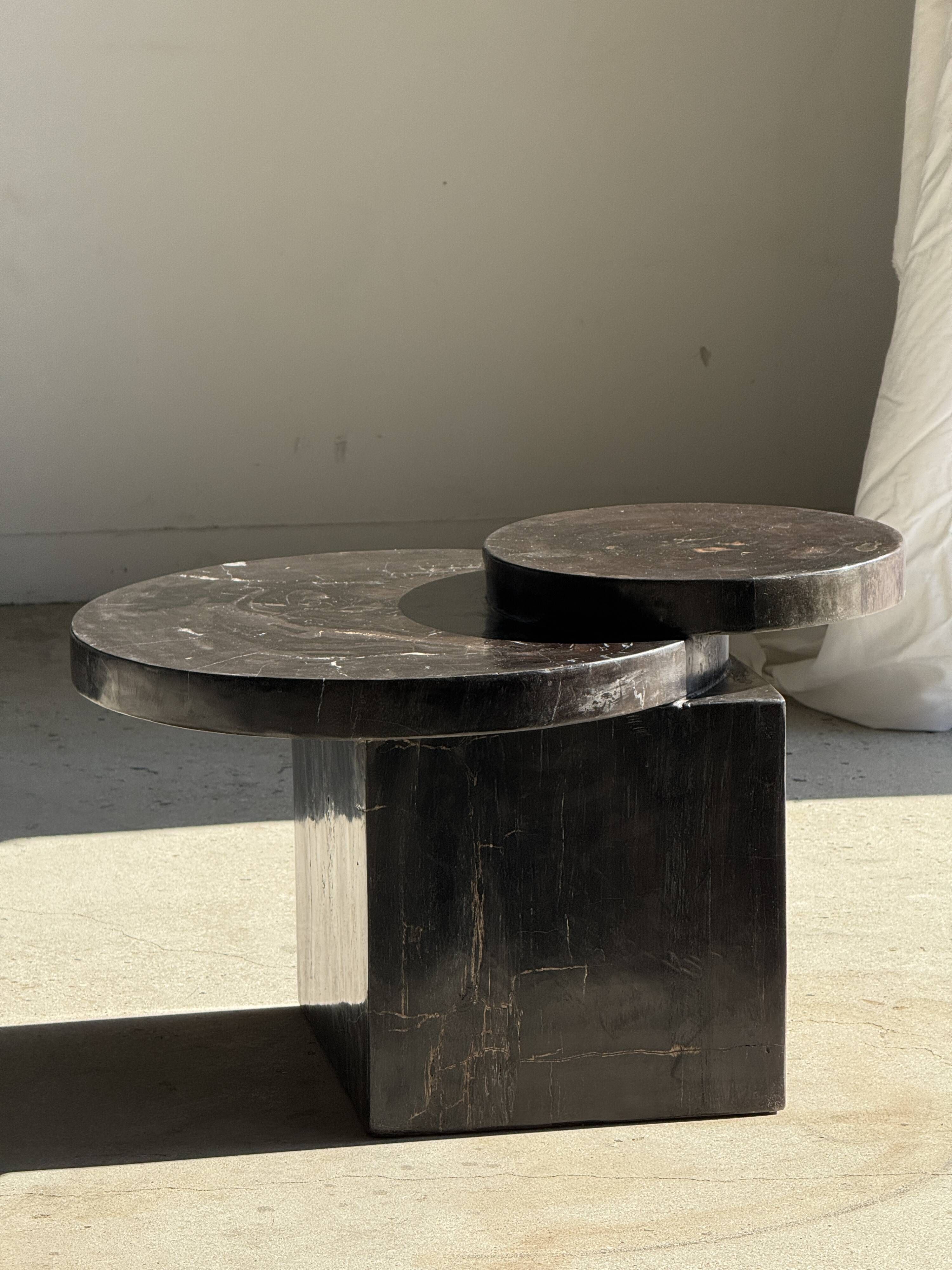 Brown petrified wood coffee table from Indonesia with a double circular top.