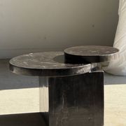 Brown petrified wood coffee table from Indonesia with a double circular top.