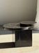 Brown petrified wood coffee table from Indonesia with a double circular top.