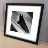 Limited edition art photo. Numbered, dated and signed by the photographer