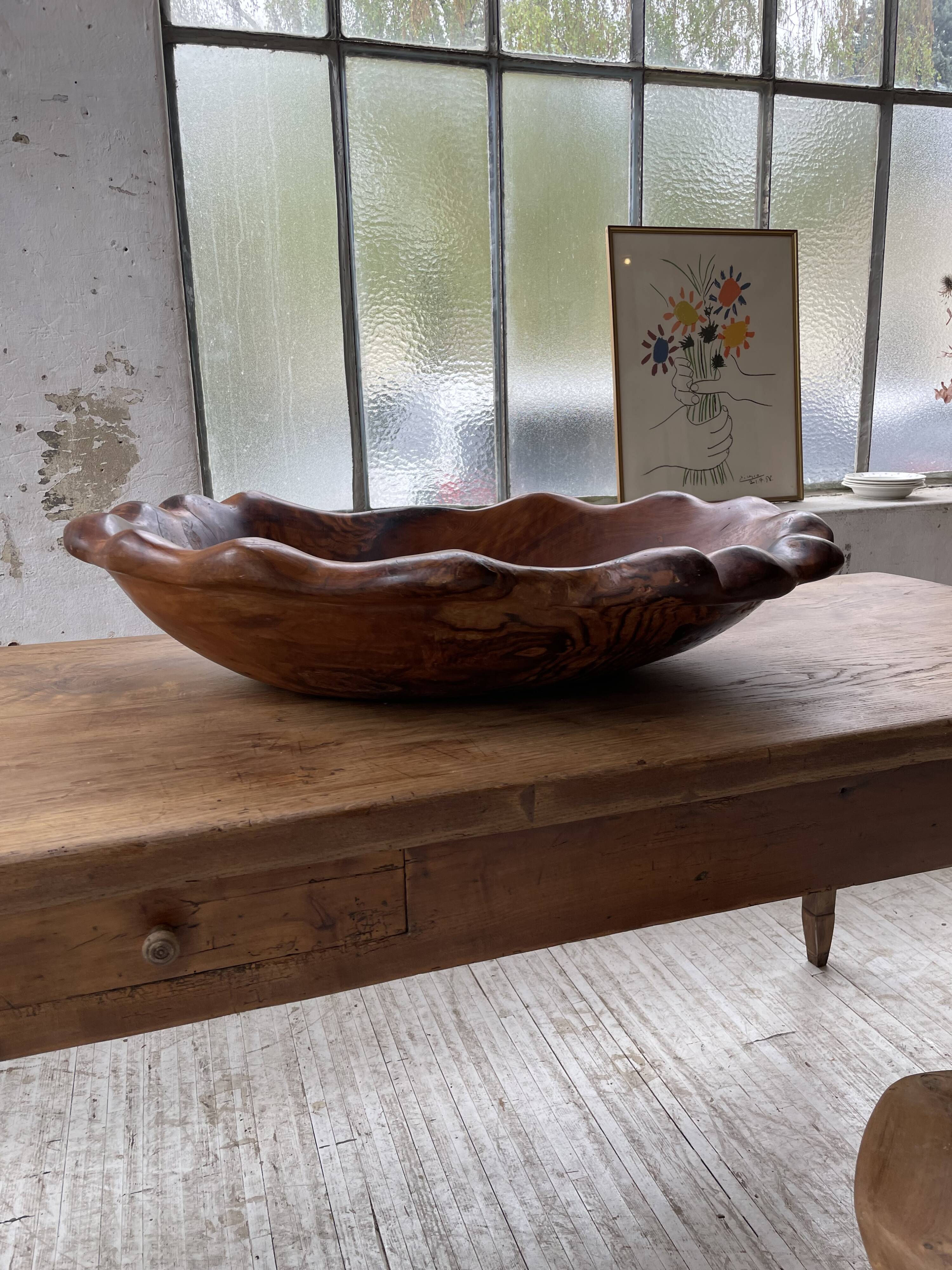 XL thuja root wooden dish