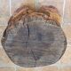Brutalist mushroom stool solid wood treated indoor outdoor 34 cm