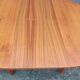 Extendable Scandinavian table