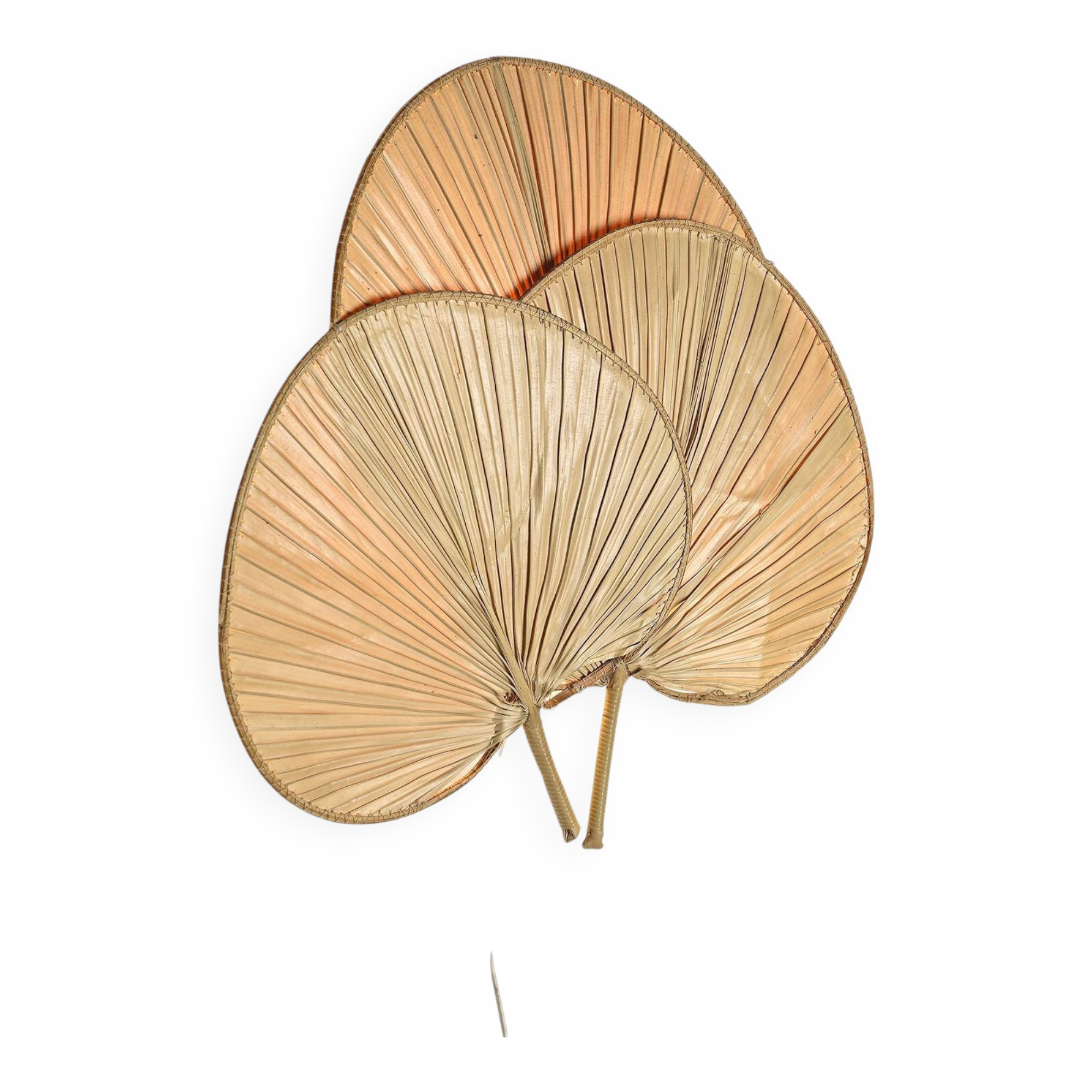 Palm leaf wall lamp, France circa 1970