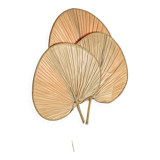 Palm leaf wall lamp, France circa 1970