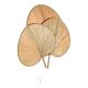 Palm leaf wall lamp, France circa 1970