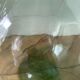 Lady Jeanne Verte 20L