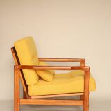 Paire de fauteuils scandinaves vintage en curry jaune rembourrage fauteuil coussin salon ambre