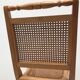 Pair vintage cannesy folding chairs