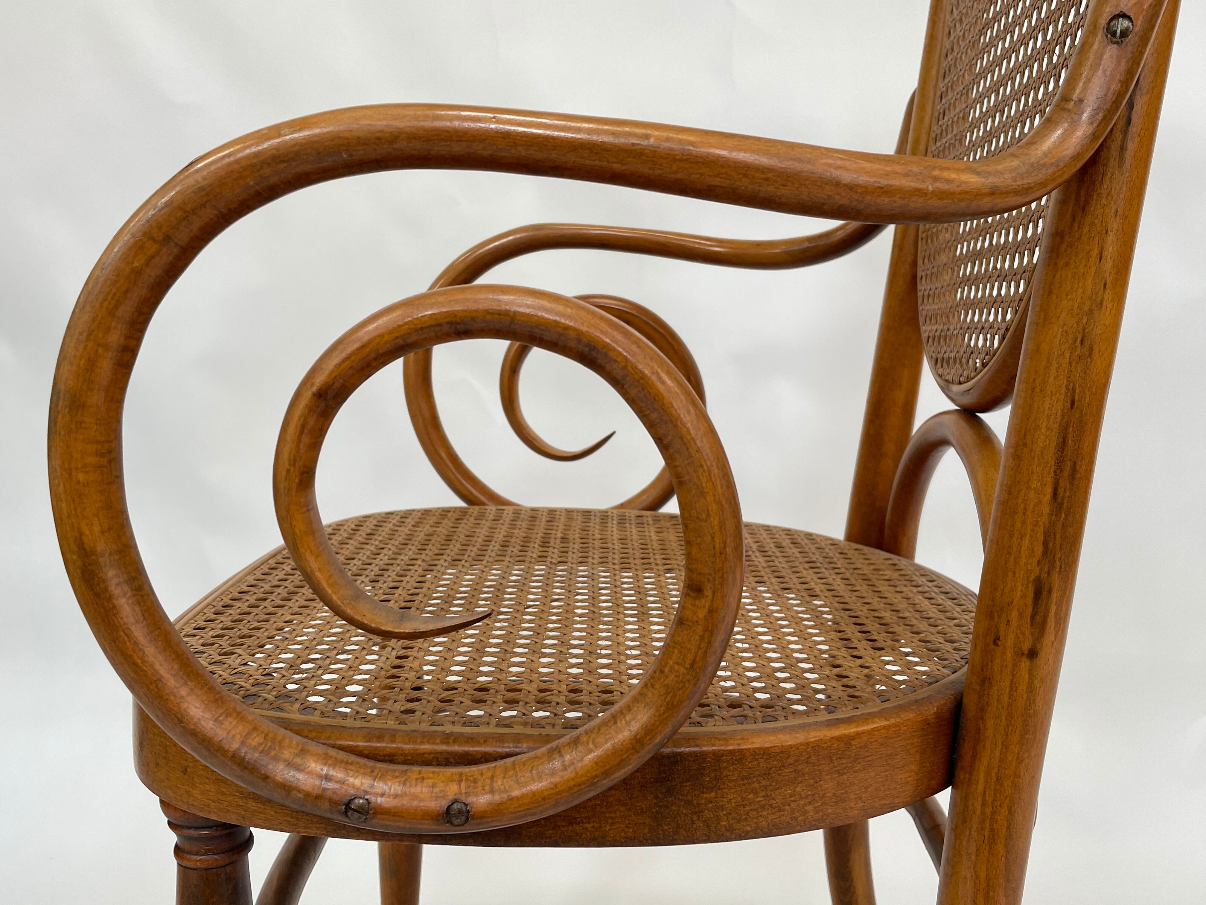 Sculptural bendwood side chair model