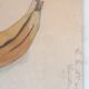 School drawing 20s "Apple, banana"