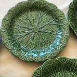 6 plates green slurry cabbage leaf