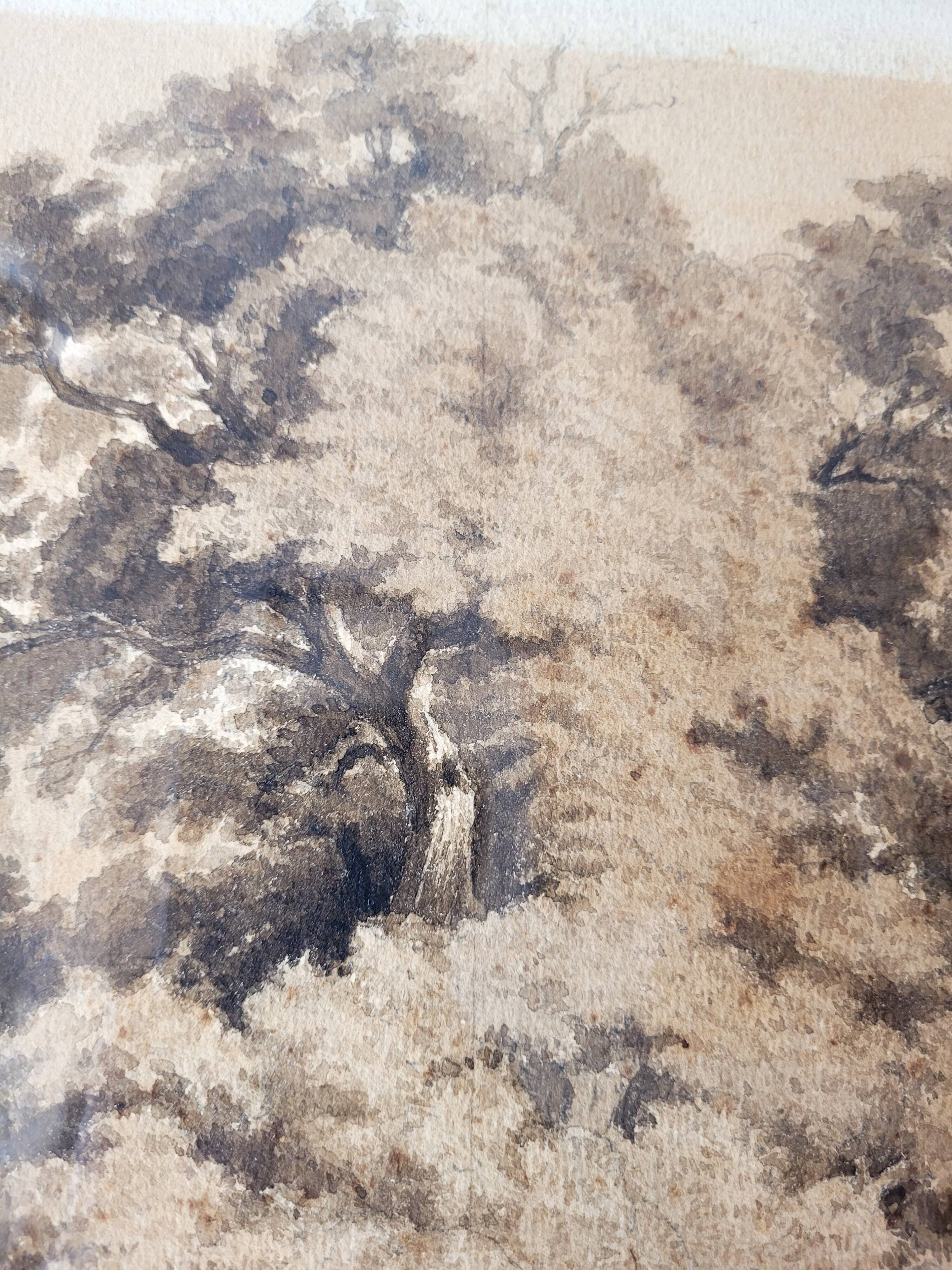 Forest landscape painting