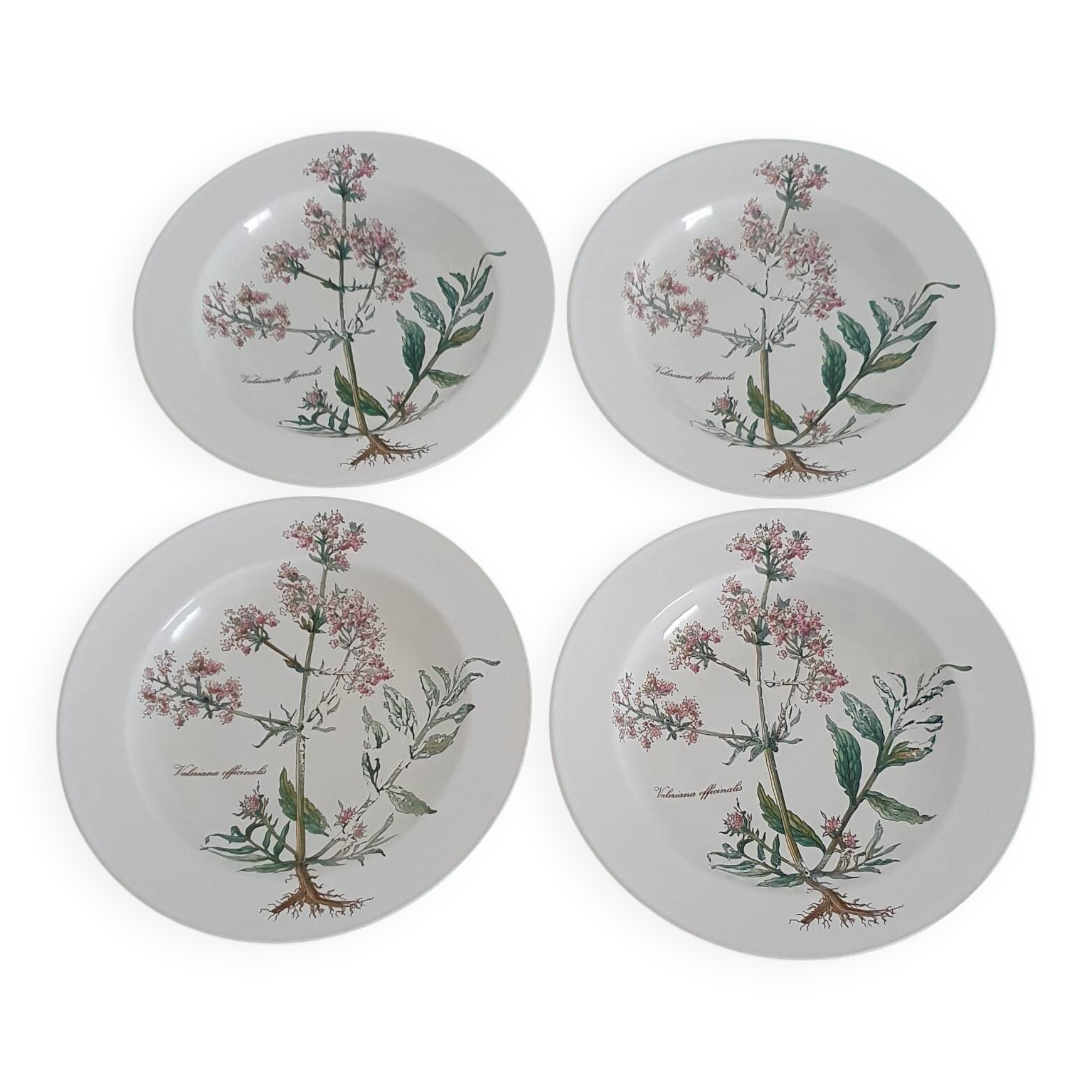 Set of 4 Villeroy and Boch soup plates - Botanica collection