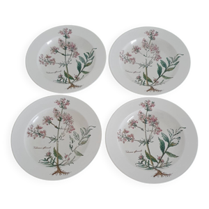 Lot de 4 assiettes creuses - villeroy
