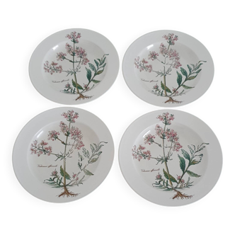 Set of 4 Villeroy and Boch soup plates - Botanica collection
