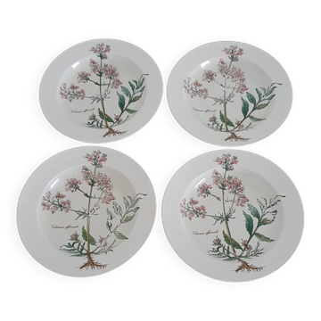 Set of 4 Villeroy and Boch soup plates - Botanica collection