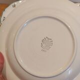 10 vintage Villeroy & Boch plates with flowers