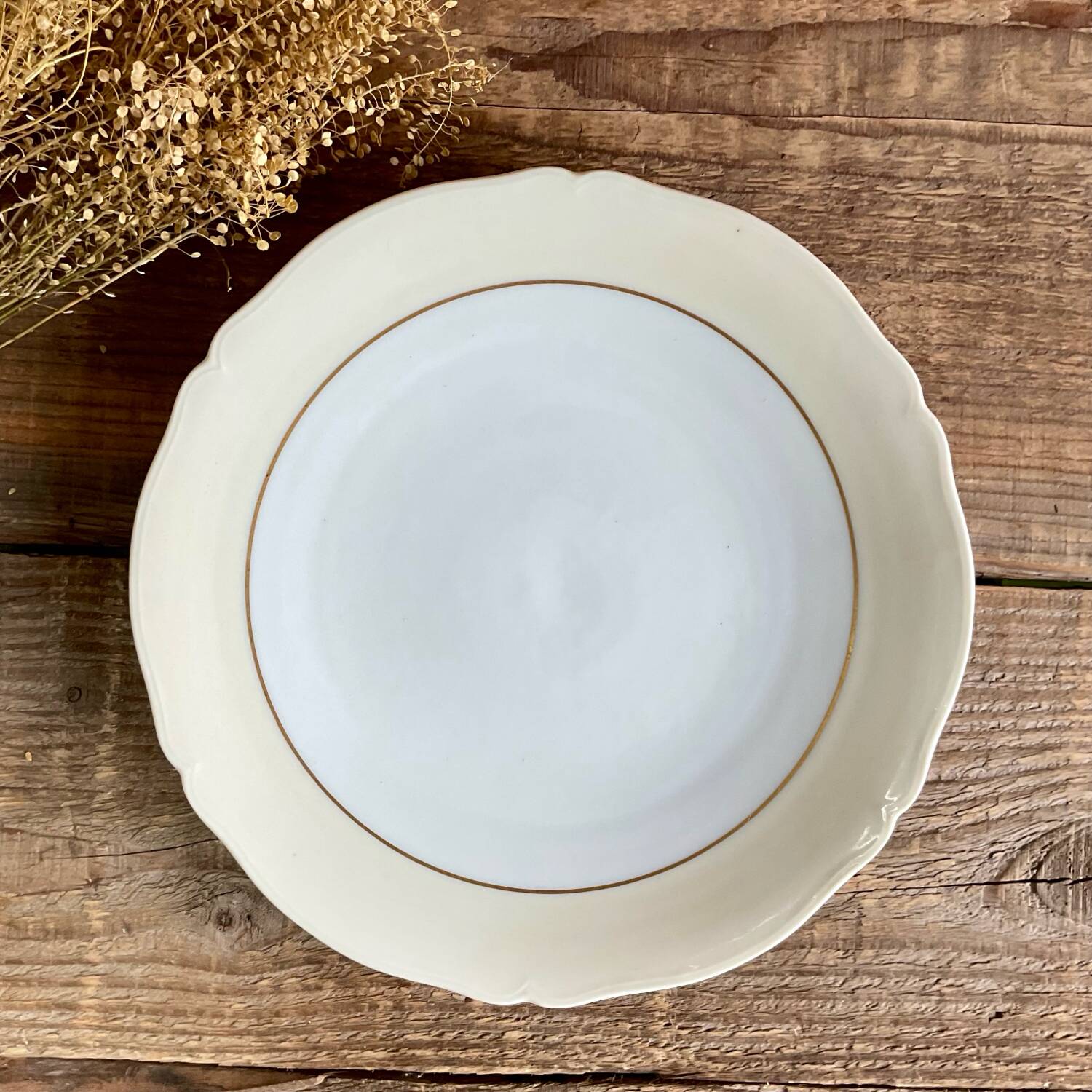 4 Limoges porcelain flat plates LEGRAND France