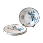 Assiettes creuses x5 Gien motif Glaieul Terre de fer