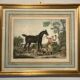 Antique engraving , the hunter to the discovery early XX century