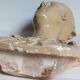 Buste de femme "l'élégante"XIXème en plâtre peint signé sur son socle en bois massif