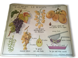 Affiche scolaire ancienne