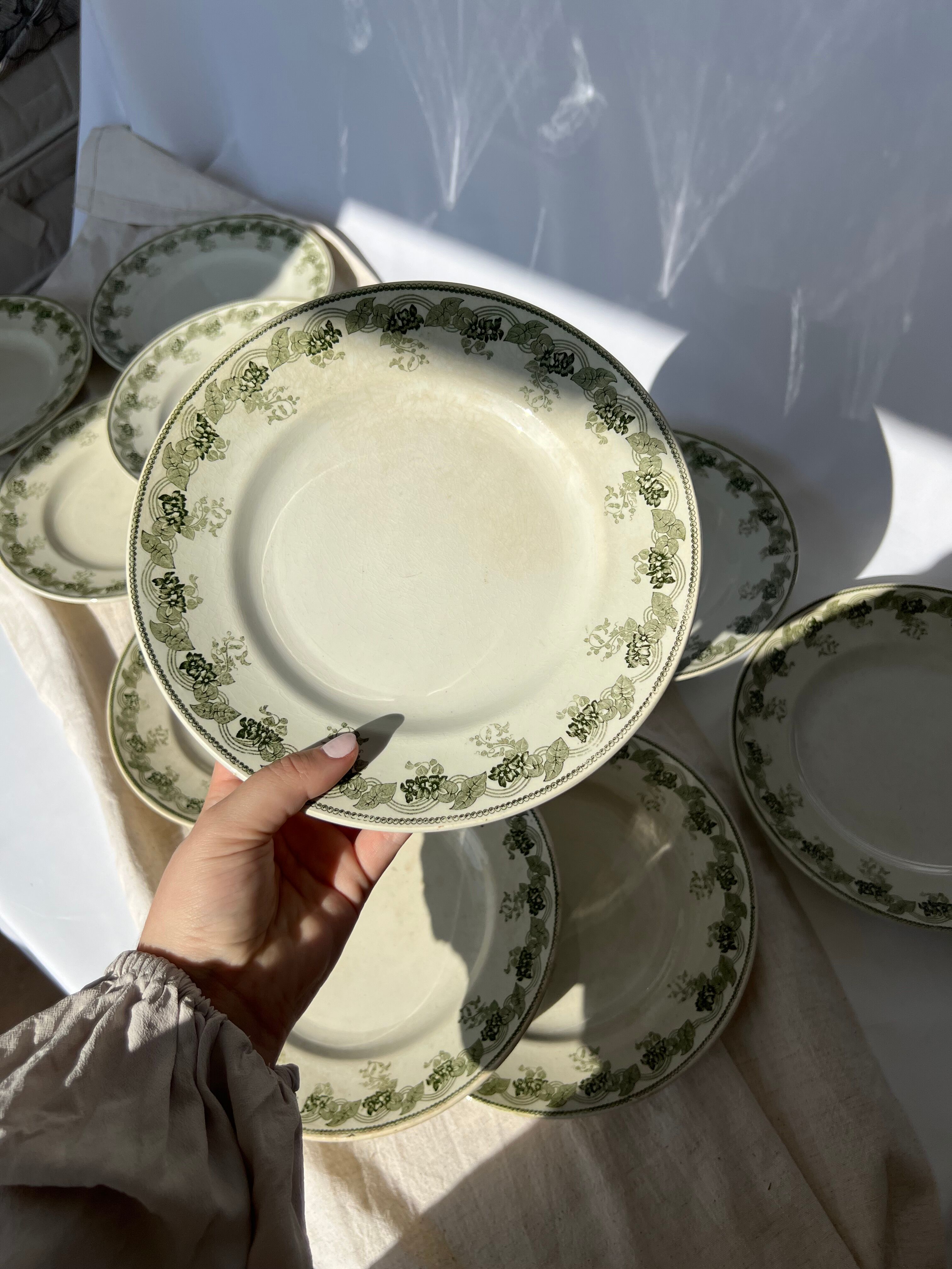 Moulin Des Loups & Hamage 12 plates model "Violetta" early twentieth century