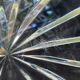 Large crystal cooler from BACCARAT DE VALERY KLEIN, new