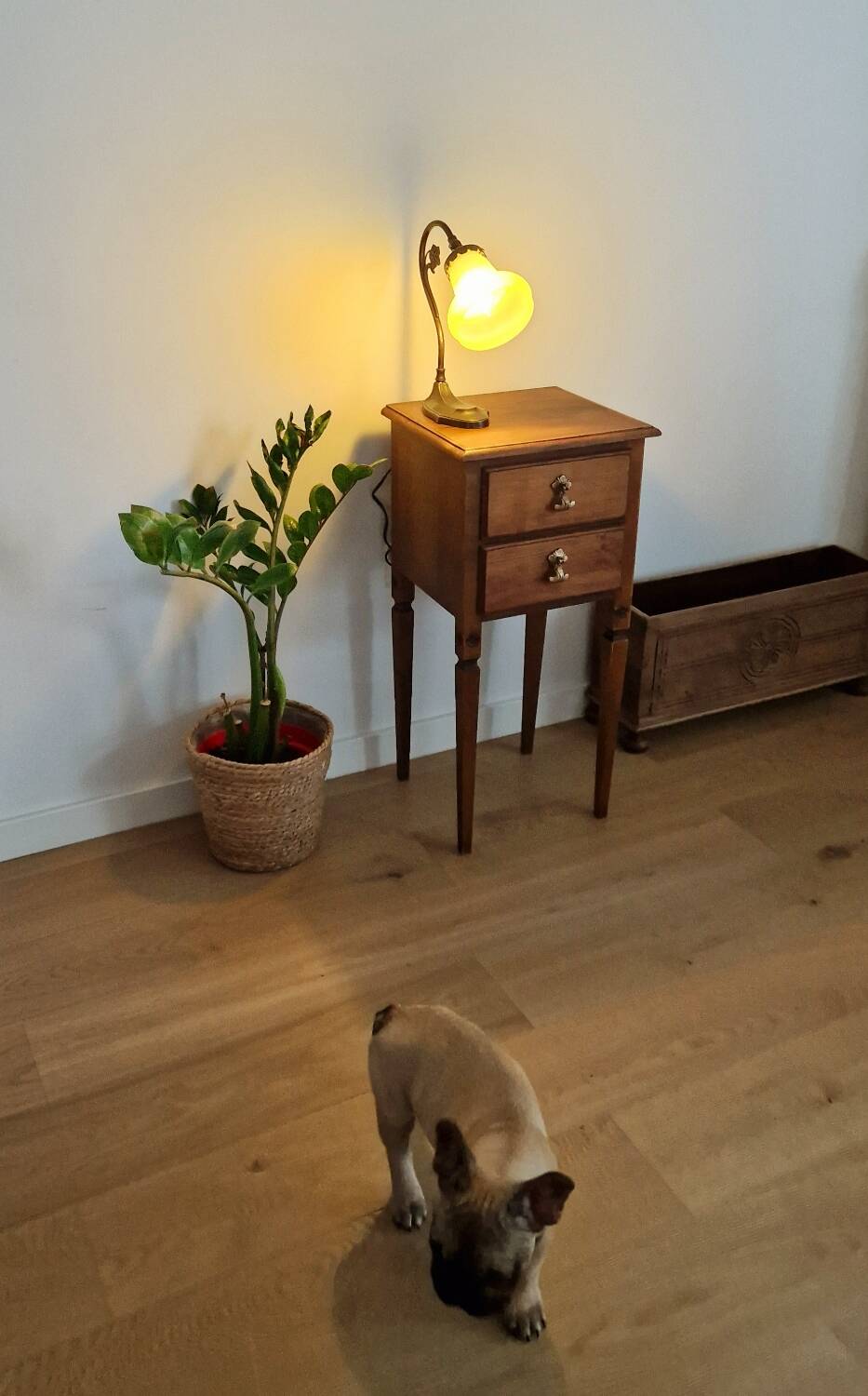 Antique walnut furniture