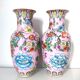 Pair of flowered Chinese vases
