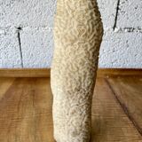 Vintage white coral