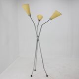 1960s Chrome Plated Floor Lamp, Czechoslovakia