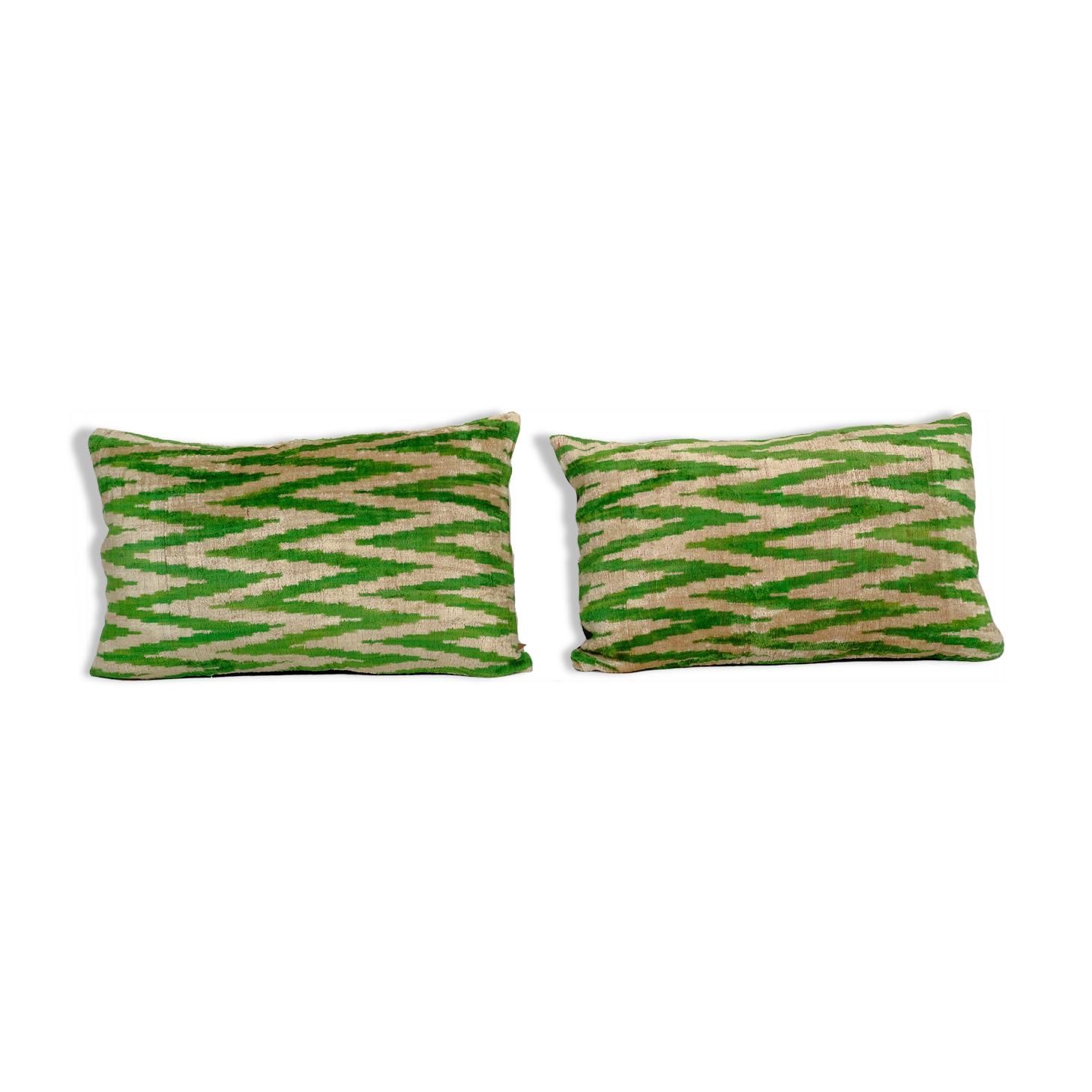 Paire de coussins