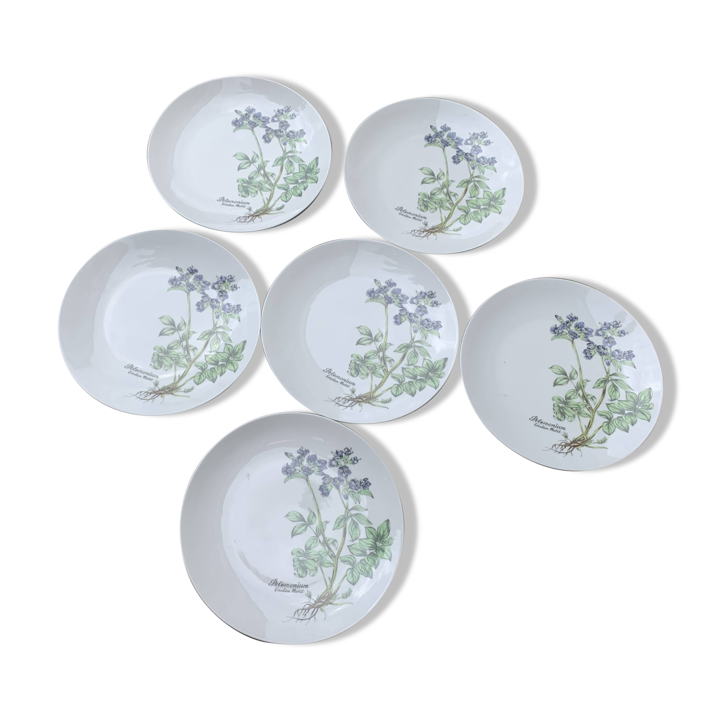 6 winterling bavaria porcelain herbarium pattern flat plates