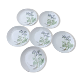 6 assiettes plates motif herbier en porcelaine winterling bavaria