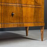 Set of 2 Identical Biedermeier Chests of Drawers, Germany, 19th Century, Wa