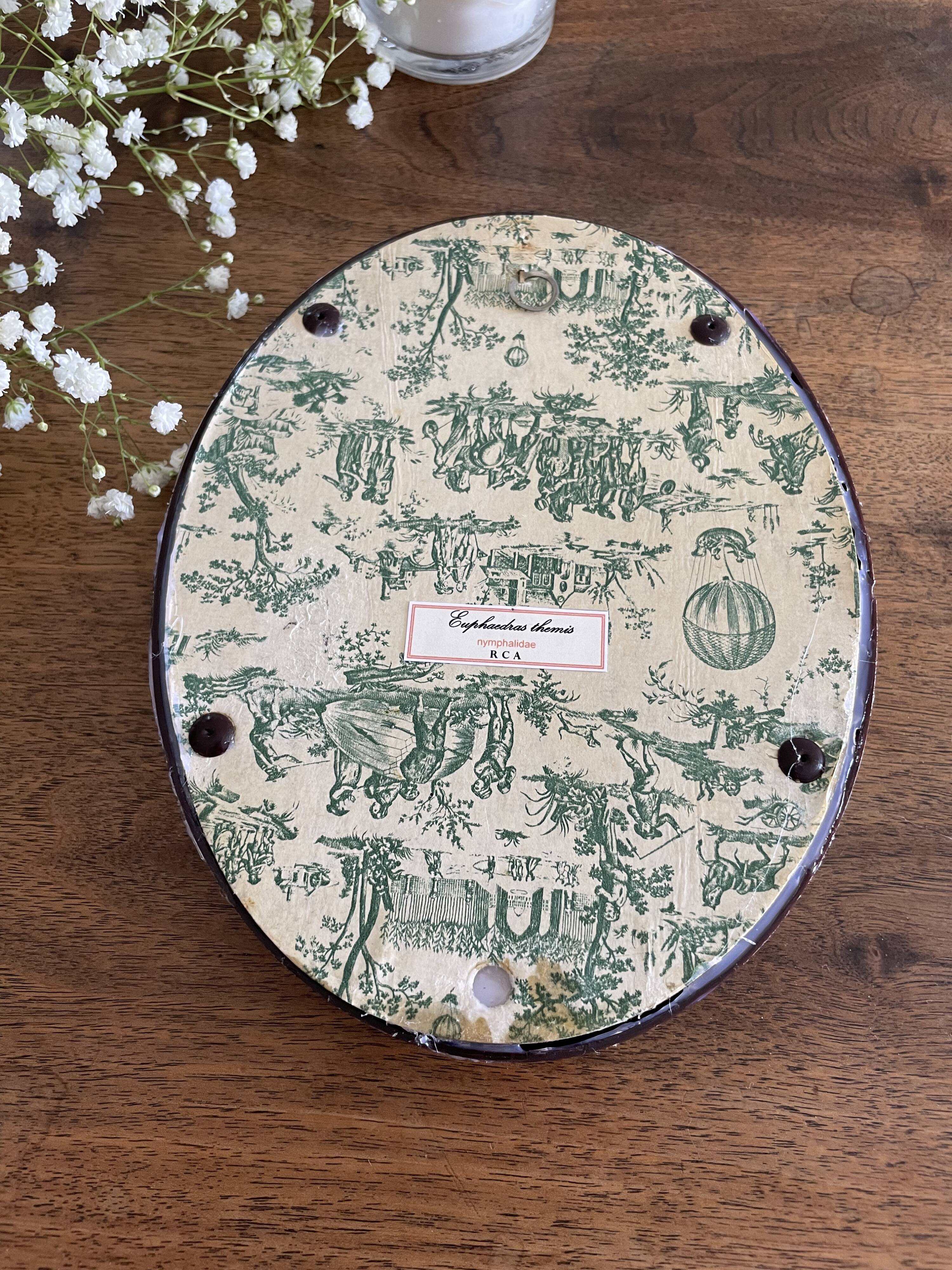 Butterfly frame naturalized curved glass