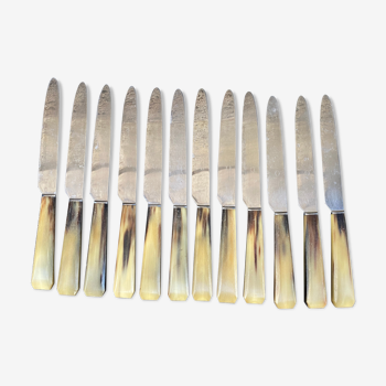 12 horn handle knives