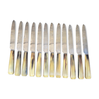 12 horn handle knives