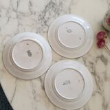 Digoin Sarreguemines plates