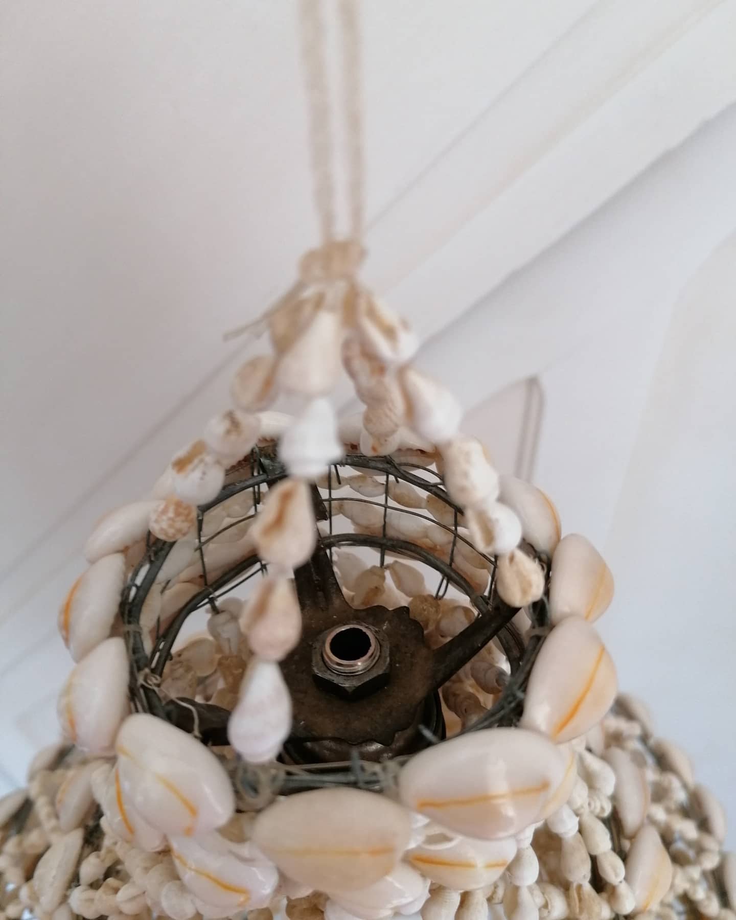 Seashell chandelier