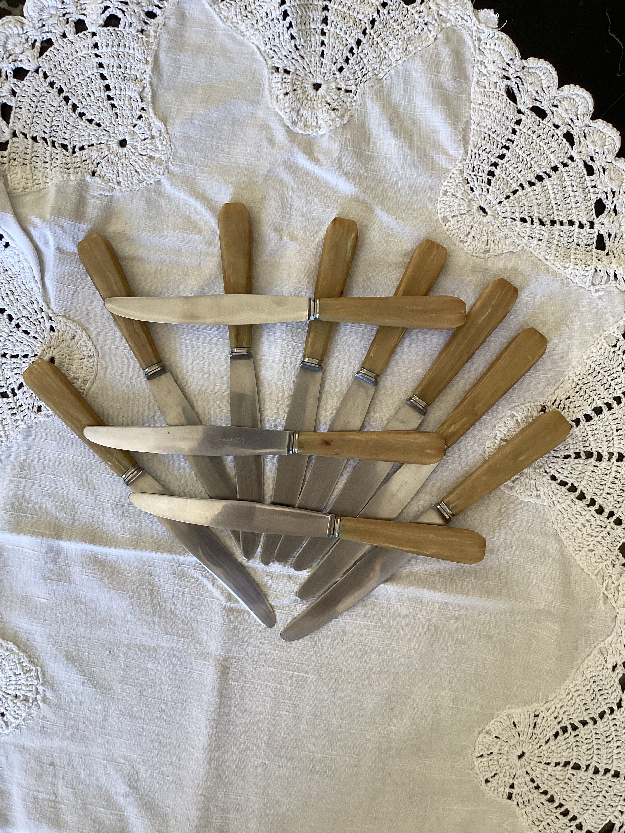 Set of 11 Apollonox table knives in a box