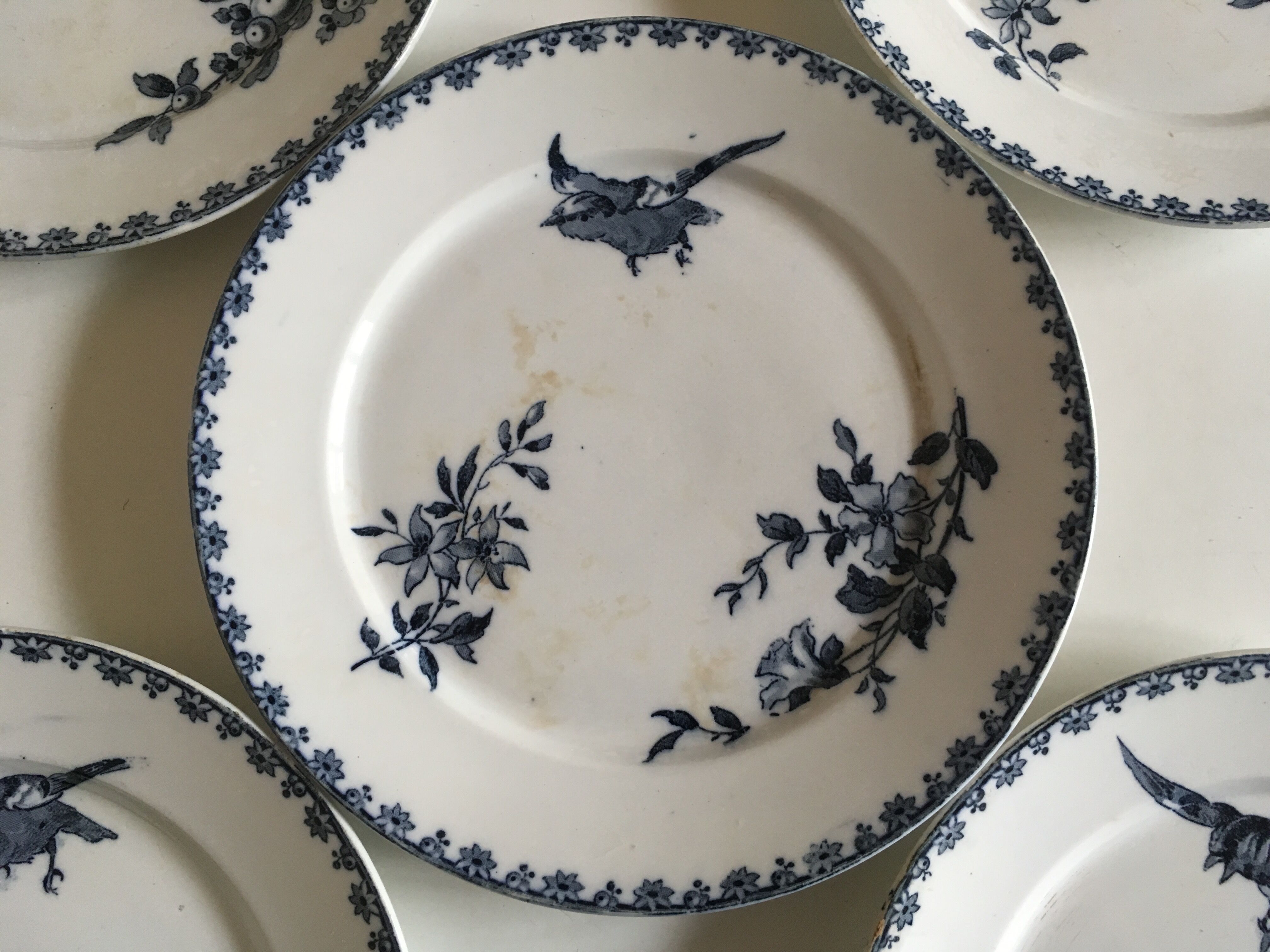 Plates Sarreguemines Hummingbird Earth 19th end railway