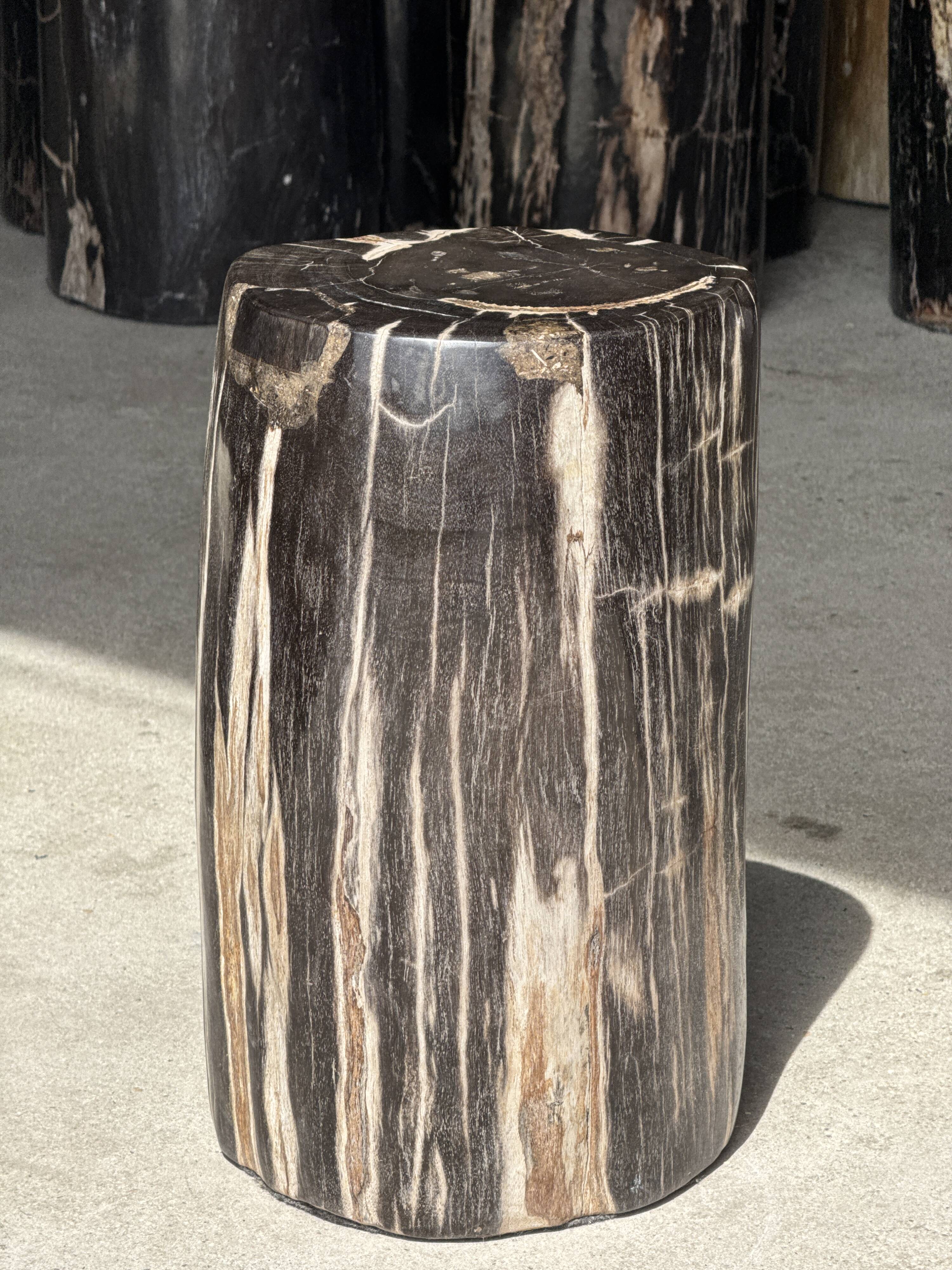 Table d'appoint en bois pétrifié noir