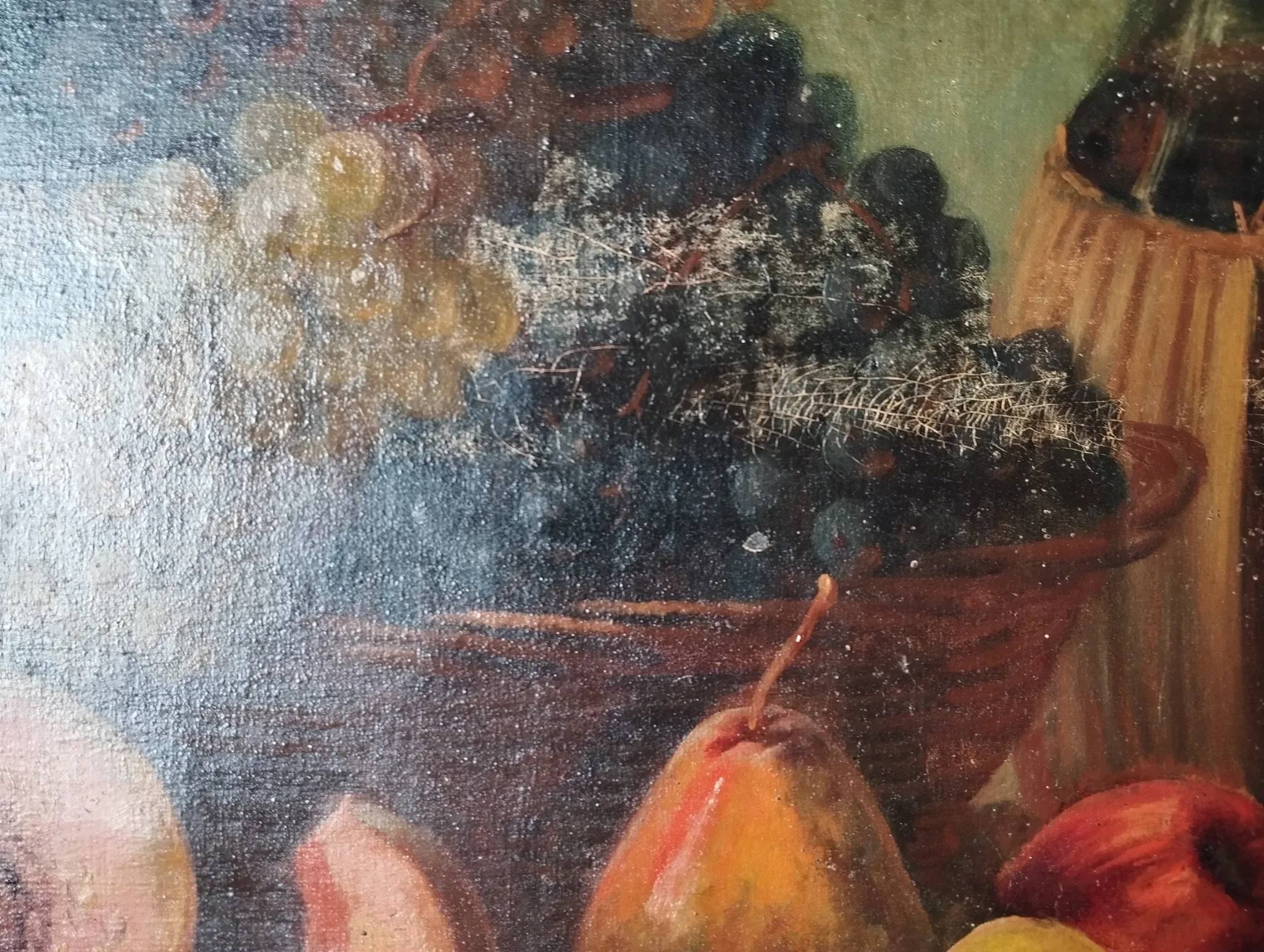 François Xavier Krugler composition with fruits oil on canvas signed