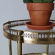 Pair of round old brass glass desserts