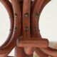 Parrot coat rack