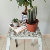 Vintage workshop metal stepladder