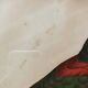 Bird engraving "The Great Jacamar"